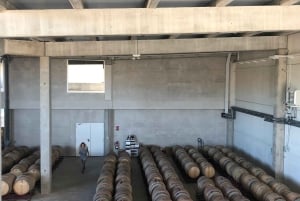 From Madrid: Ribera del Duero Wine Tour with Local Lunch