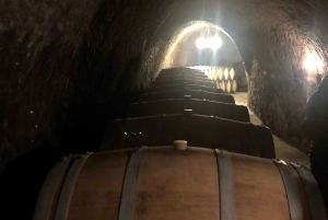 From Madrid: Ribera del Duero Wine Tour with Local Lunch