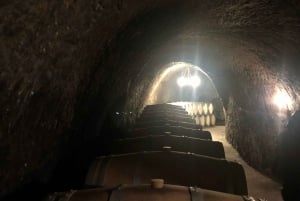 From Madrid: Ribera del Duero Wine Tour with Local Lunch