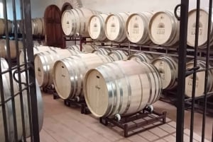 From Madrid: Ribera del Duero Wine Tour with Local Lunch