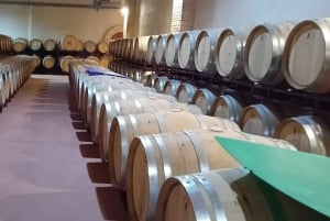From Madrid: Ribera del Duero Wine Tour with Local Lunch