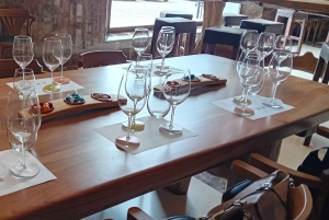 From Madrid: Ribera del Duero Wine Tour with Local Lunch