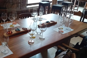 From Madrid: Ribera del Duero Wine Tour with Local Lunch