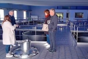 From Madrid: Ribera del Duero Wine Tour with Local Lunch