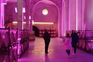 From Madrid: Ribera del Duero Wine Tour with Local Lunch