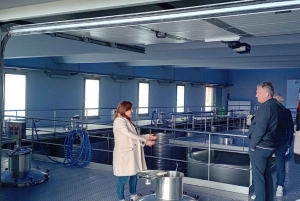 From Madrid: Ribera del Duero Wine Tour with Local Lunch