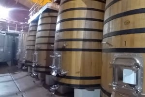 From Madrid: Ribera del Duero Wine Tour with Local Lunch