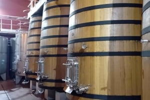 From Madrid: Ribera del Duero Wine Tour with Local Lunch