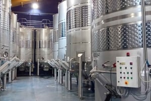 From Madrid: Ribera del Duero Wine Tour with Local Lunch