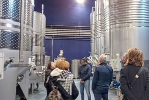 From Madrid: Ribera del Duero Wine Tour with Local Lunch