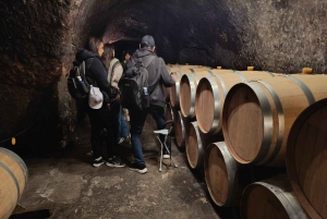 From Madrid: Ribera del Duero Wine Tour with Local Lunch