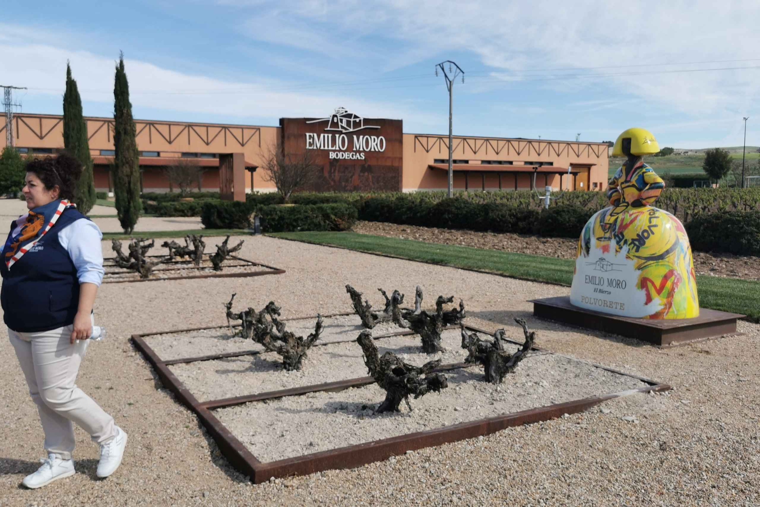 Ribera del Dueron viinialue yksityinen kierros