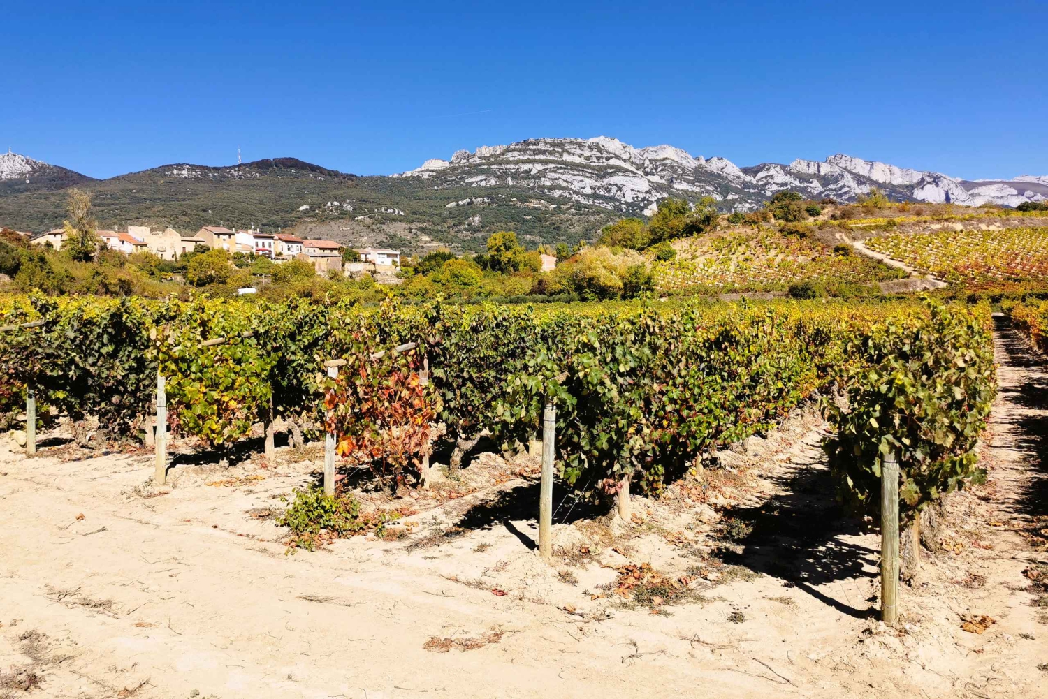 Ribera del Dueron viinialue yksityinen kierros