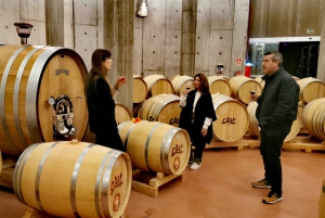 Ribera del Dueron viinialue yksityinen kierros