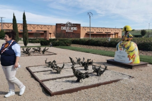 Ribera del Dueron viinialue yksityinen kierros