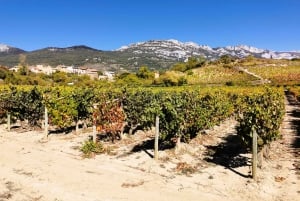 Ribera del Dueron viinialue yksityinen kierros