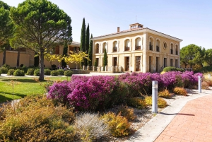 Ribera del Dueron viinialue yksityinen kierros