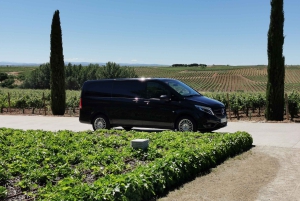 Ribera del Dueron viinialue yksityinen kierros