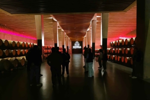 Ribera del Dueron viinialue yksityinen kierros