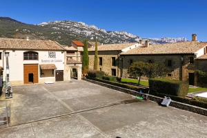 Ribera del Dueron viinialue yksityinen kierros