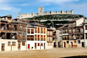 Ribera del Dueron viinialue yksityinen kierros