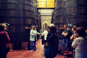 Ribera del Dueron viinialue yksityinen kierros