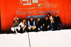 Ribera del Dueron viinialue yksityinen kierros