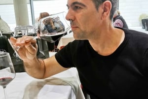 Ribera del Dueron viinialue yksityinen kierros