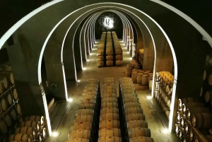 Ribera del Dueron viinialue yksityinen kierros