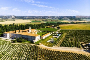 Ribera del Dueron viinialue yksityinen kierros