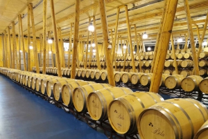 Ribera del Dueron viinialue yksityinen kierros