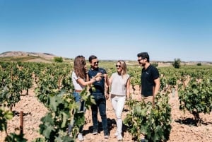 From Madrid: Ribera del Duero Winery and Segovia Tour