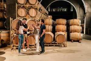 Fra Madrid: Tur til vingården Ribera del Duero og Segovia