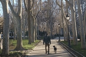 Romantisches Madrid im 19. Jahrhundert