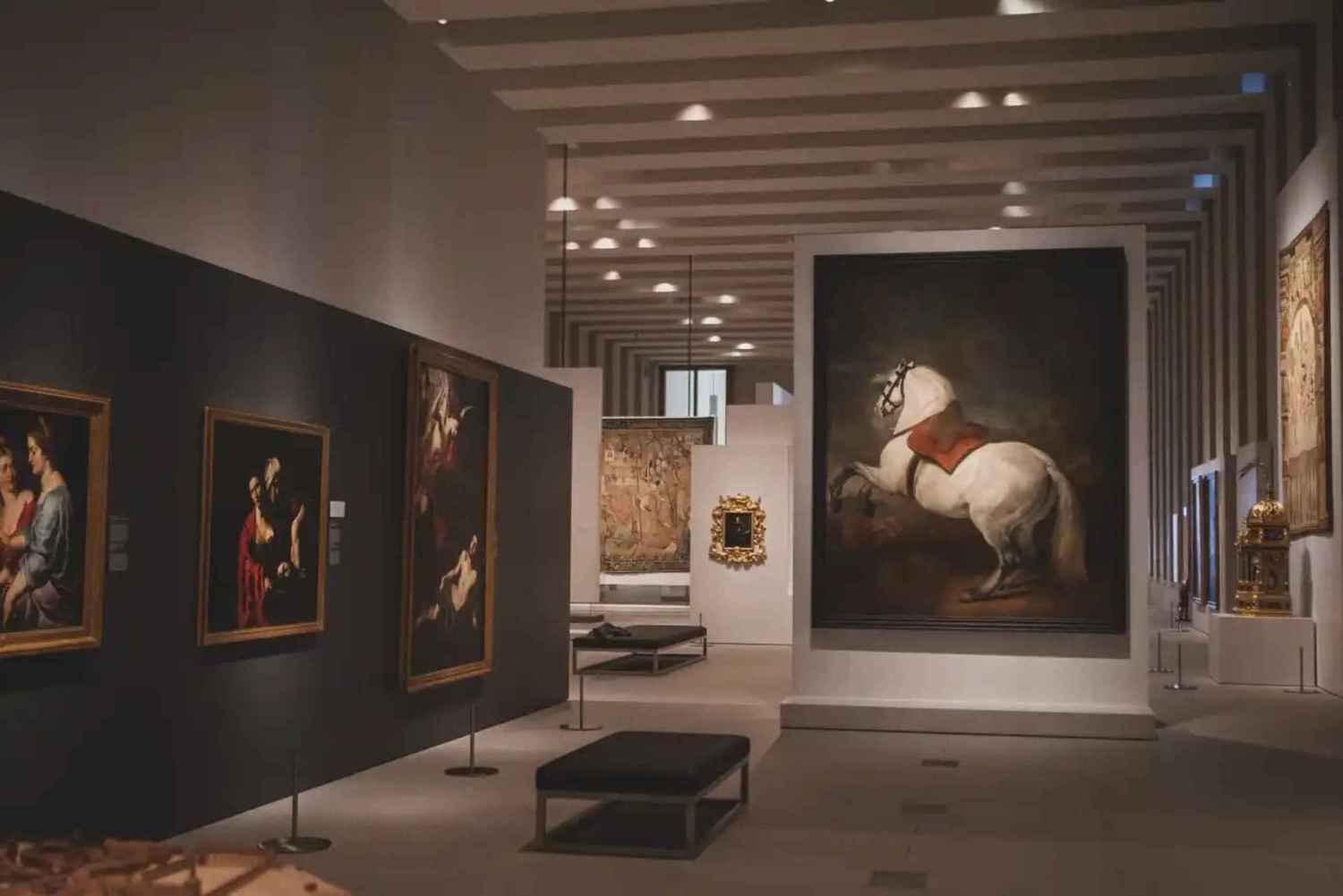 Guidet tur på det kongelige slot og i galleriet med de kongelige samlinger