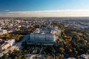 Royal Palace of Madrid: Private tour with entrance included