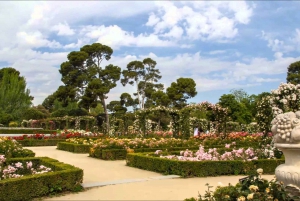 Det kongelige palasset i Madrid, skip-the-line og Retiro Park Tour
