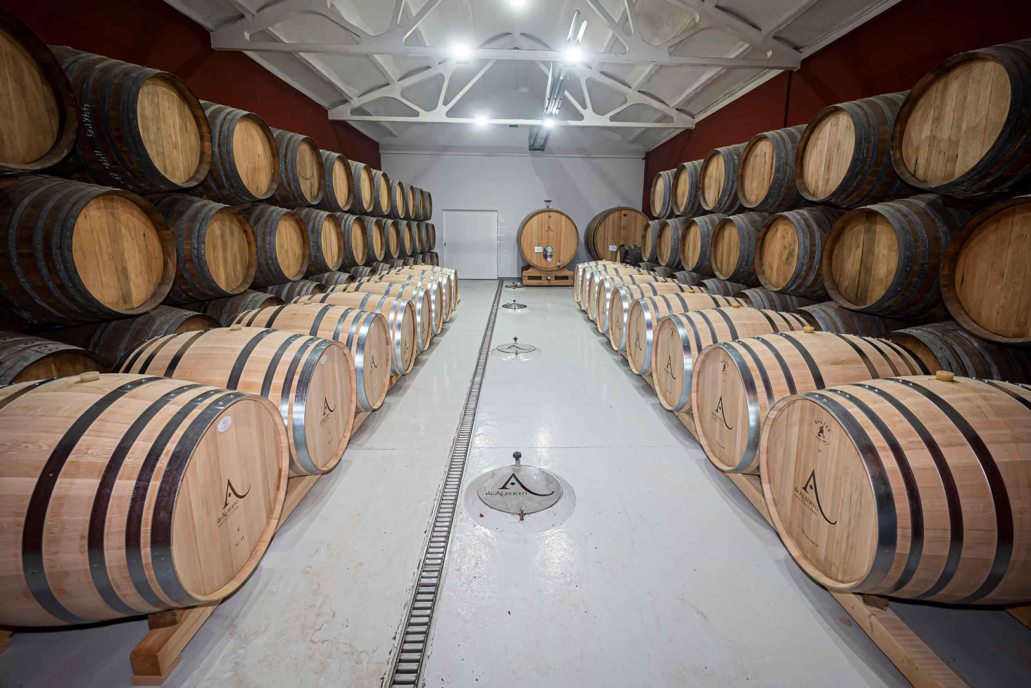 ドラーダ・ワインの秘密