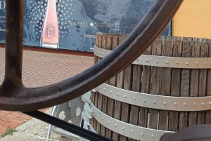 Секреты вина Dorado