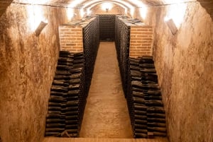 Секреты вина Dorado