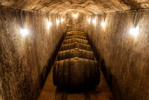 Секреты вина Dorado