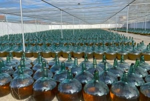 Секреты вина Dorado