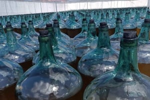 Секреты вина Dorado