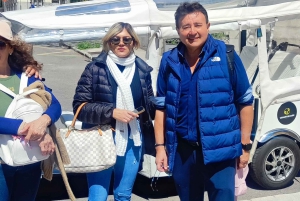 'Bekijk Madrid op een andere manier: een premium privé-rit met een tuktuk'