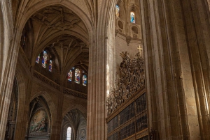 Segovia: Tour de día completo con traslado de ida y vuelta a Madrid