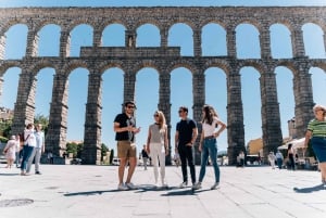 Segovia bezichtiging met gids, Alcazar & wandeling met hogesnelheidstrein