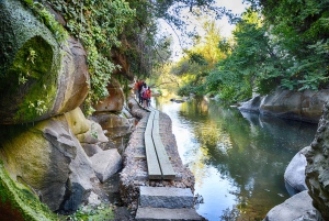 Segovia bezichtiging met gids, Alcazar & wandeling met hogesnelheidstrein