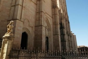 Segovia: tour privato in minivan da Madrid