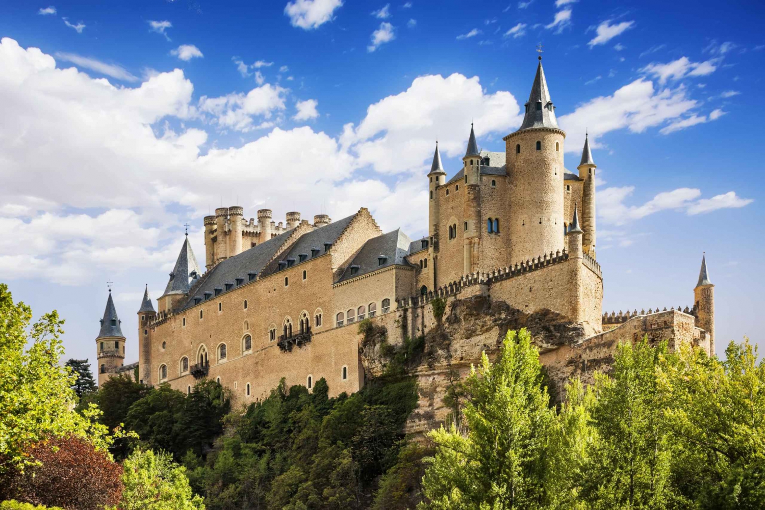 Fra Madrid: Guidet omvisning i Segovia med adgang til katedralen