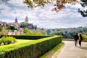 Från Madrid: Guidad tur i Segovia med inträde till katedralen